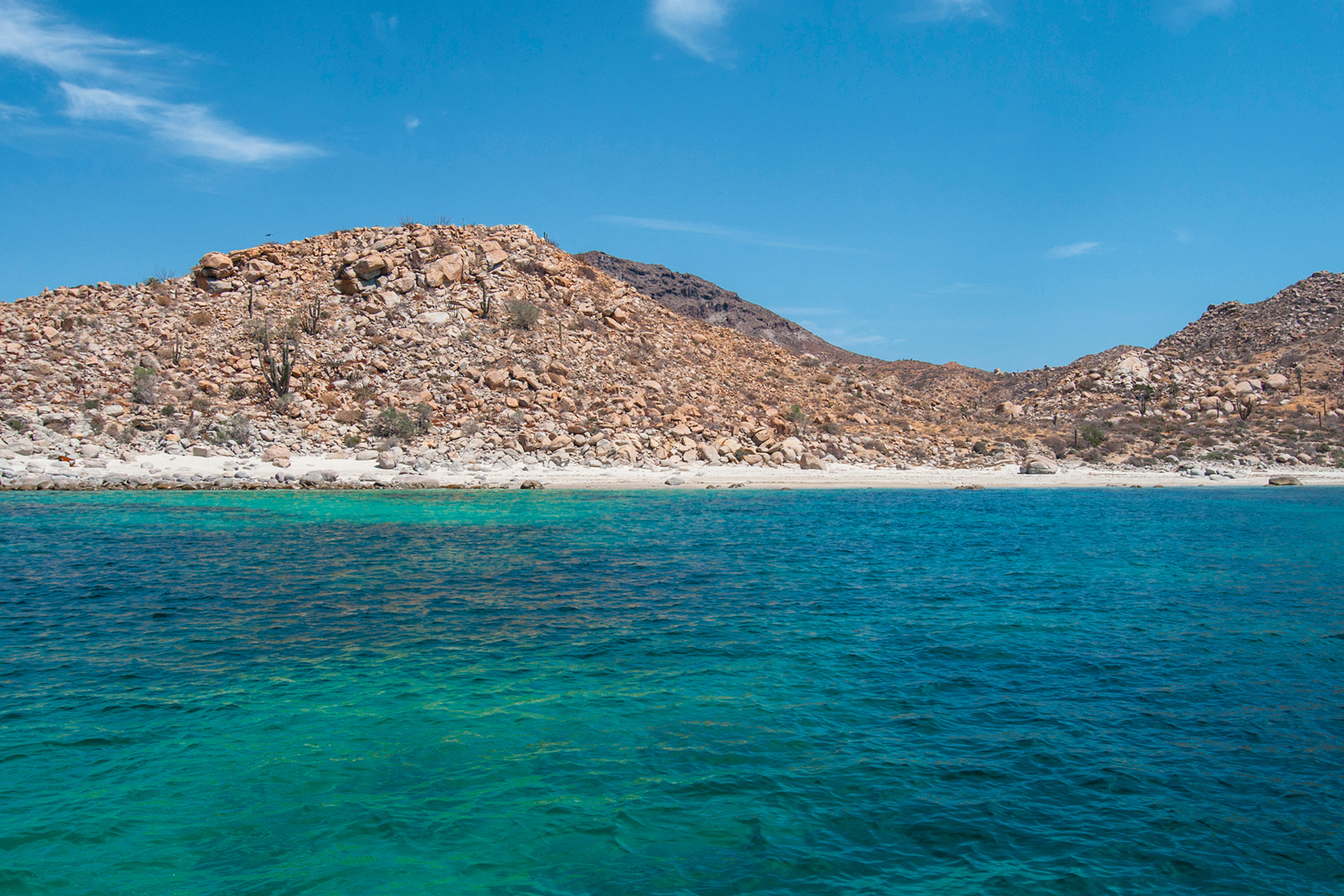 27 isla espíritu santo.webp